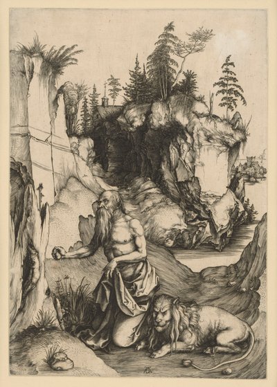  af Albrecht Dürer