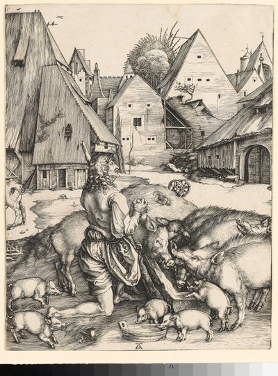  af Albrecht Dürer