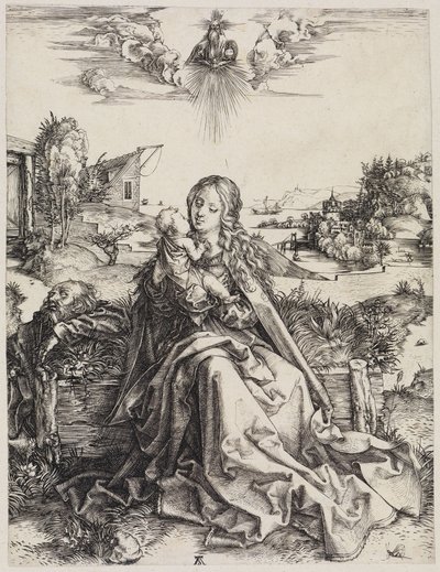  af Albrecht Dürer