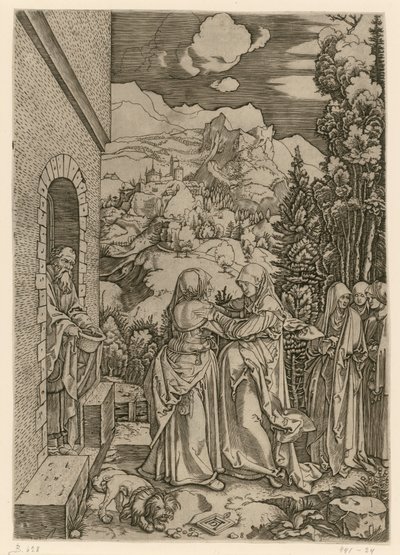  af Albrecht Dürer