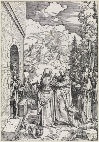  af Albrecht Dürer