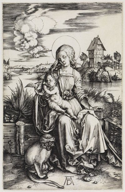 af Albrecht Dürer