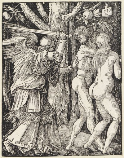  af Albrecht Dürer