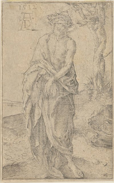  af Albrecht Dürer