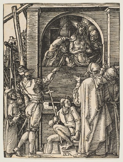  af Albrecht Dürer