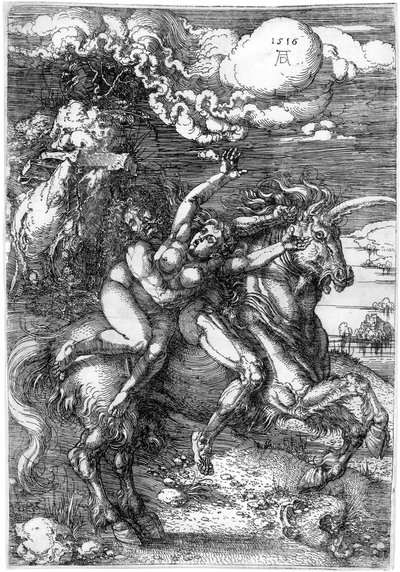  af Albrecht Dürer