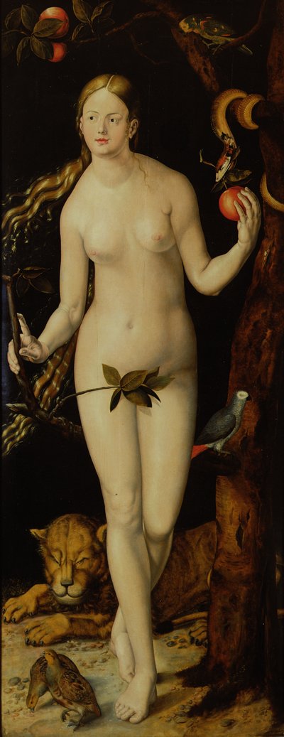 Eva af Albrecht Dürer