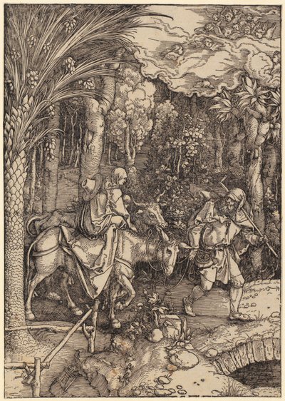  af Albrecht Dürer
