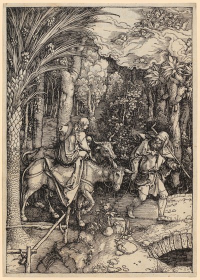  af Albrecht Dürer