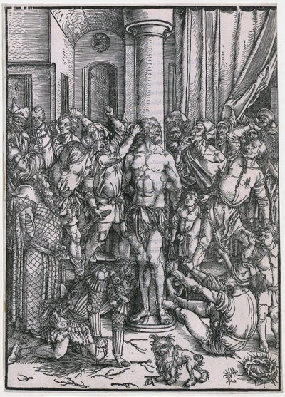  af Albrecht Dürer