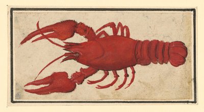  af Albrecht Dürer
