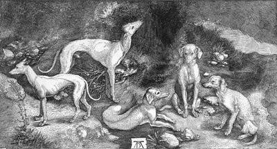 Gruppe af hunde. Fra indgraveringen af St. Eustace, af A. Durer, c1500, 1906 af Albrecht Dürer