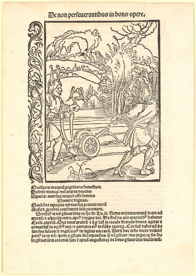 At afvise gode råd af Albrecht Dürer