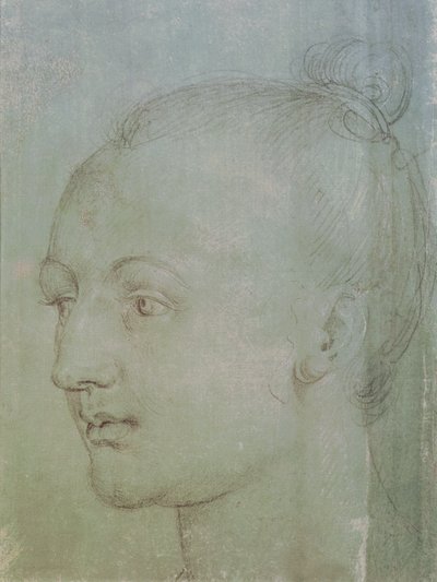Head of a Young Woman (sort kridt forhøjet med hvidt kridt på grønt papir) af Albrecht Dürer