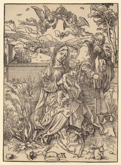  af Albrecht Dürer