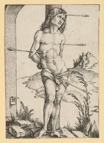  af Albrecht Dürer