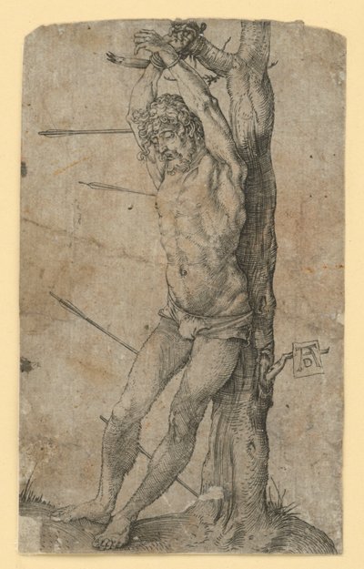  af Albrecht Dürer