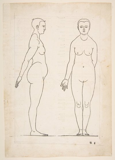 IIllustration fra Dürers Fire Books of Human Proportion, Nürnberg, 1528.n.d. af Albrecht Dürer
