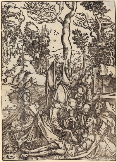  af Albrecht Dürer