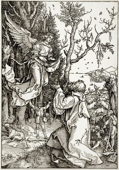  af Albrecht Dürer