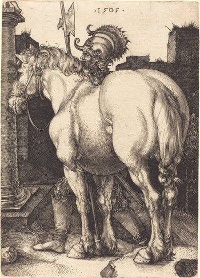 stor hest af Albrecht Dürer