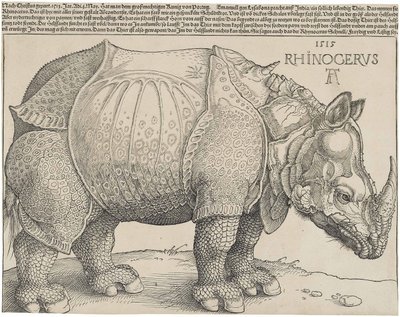 Latin:  Rhinocerus Næsehornet af Albrecht Dürer