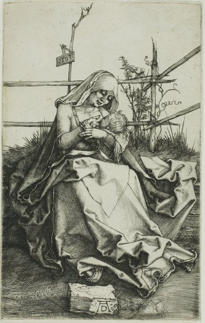 Madonna på en græsklædt bred af Albrecht Dürer