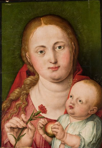 Madonna med Barnet og en nellike af Albrecht Dürer
