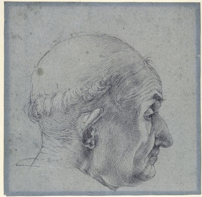 Mandligt hoved i profil af Albrecht Dürer