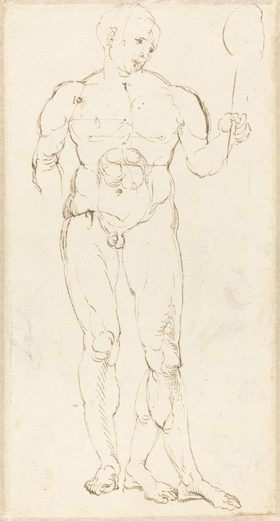 Nøgen mand holder et spejl [recto] af Albrecht Dürer