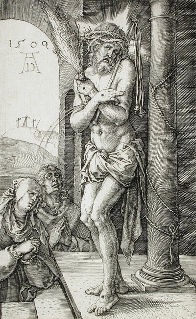  af Albrecht Dürer