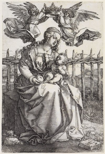  af Albrecht Dürer
