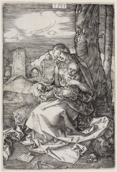  af Albrecht Dürer