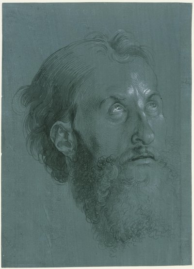  af Albrecht Dürer