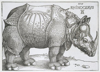Neushoorn Rhinocerus (titel på objekt) af Albrecht Dürer