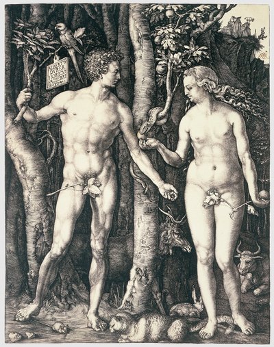 Arvesynden af Albrecht Dürer
