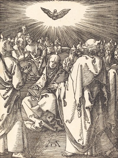Pinse, sandsynligvis c. 15091510. af Albrecht Dürer