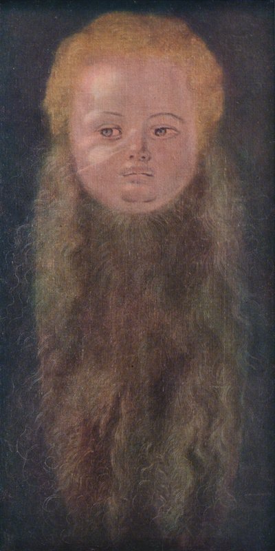 Portræt af en dreng med langt skæg, 1527, 1939 af Albrecht Dürer
