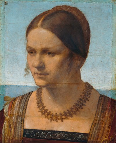  af Albrecht Dürer