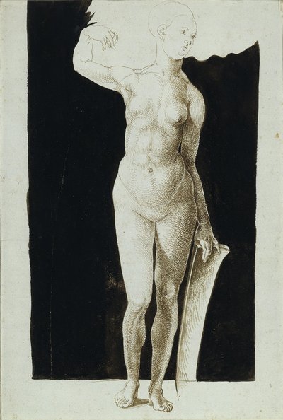 Andel undersøgelse af nøgen kvinde med et skjold, 1500 af Albrecht Dürer