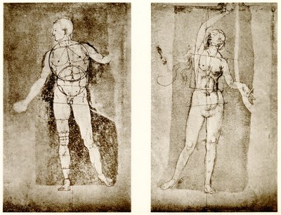 Proportionsundersøgelse om Adam og Eva af Albrecht Dürer