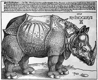 Næsehorn, tryk givet til Maximilian I af kongen af Lissabon, 1515, 1936 af Albrecht Dürer