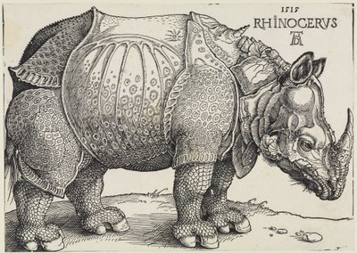 Rhinocerus (Næsehornet) af Albrecht Dürer