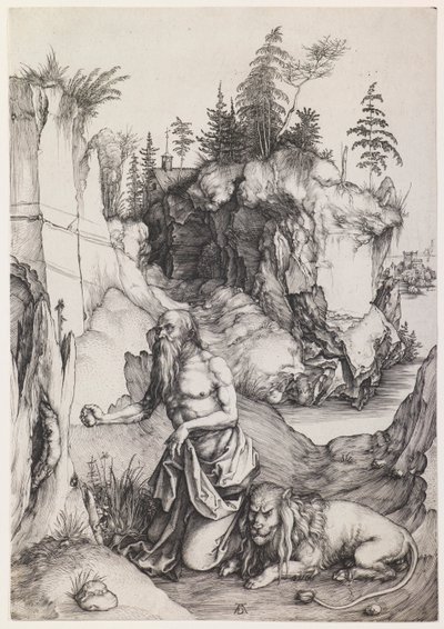  af Albrecht Dürer