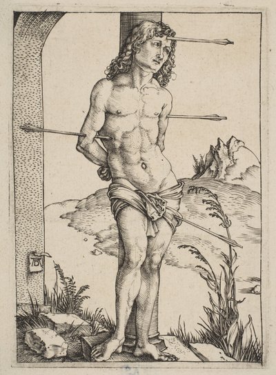  af Albrecht Dürer