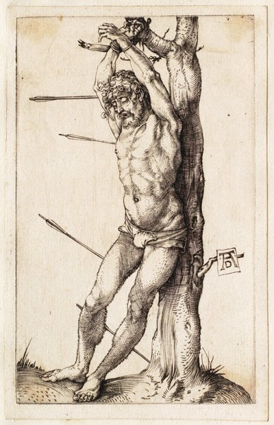  af Albrecht Dürer