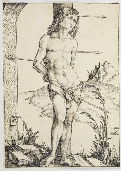  af Albrecht Dürer