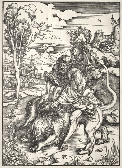  af Albrecht Dürer