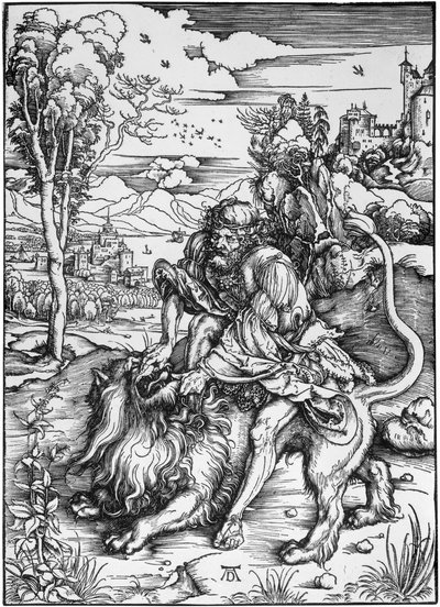  af Albrecht Dürer