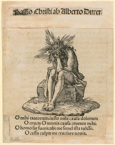  af Albrecht Dürer